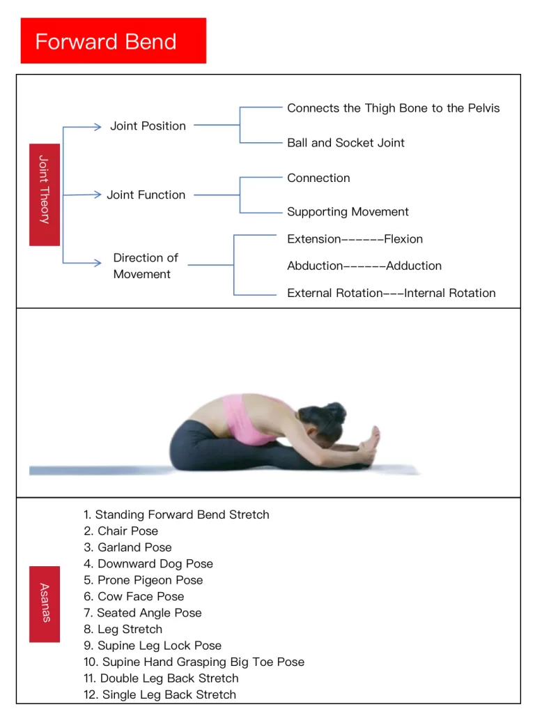 yoga poses of forward bend 