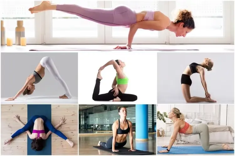 23 Animal-Inspired Yoga Poses- Strengthen Your Body and Mind